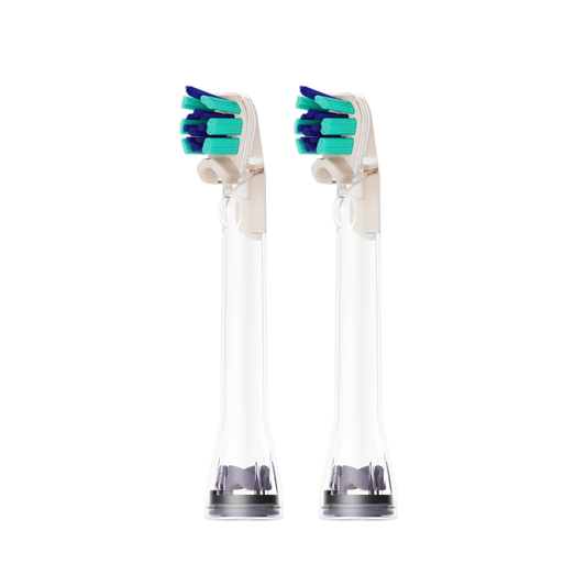 Dyson CameraJet standard dual-bristle brush heads, pack of two