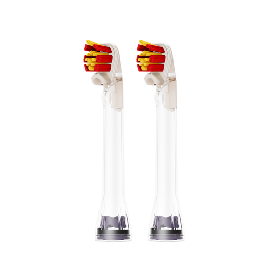 Dyson CameraJet sensitive dual-bristle brush heads, pack of two