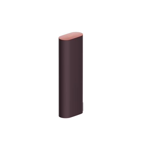 Dyson CameraJet travel case in Deep Rose and Plum