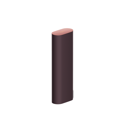 Dyson CameraJet travel case in Deep Rose and Plum