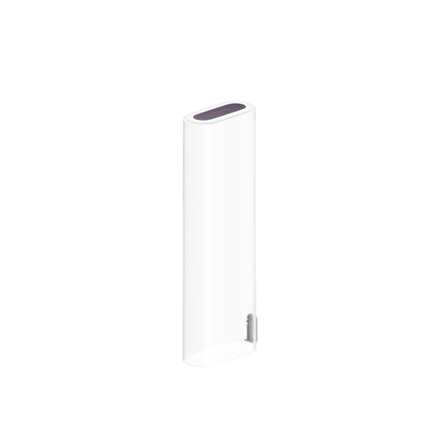 Dyson CameraJet transparent travel case