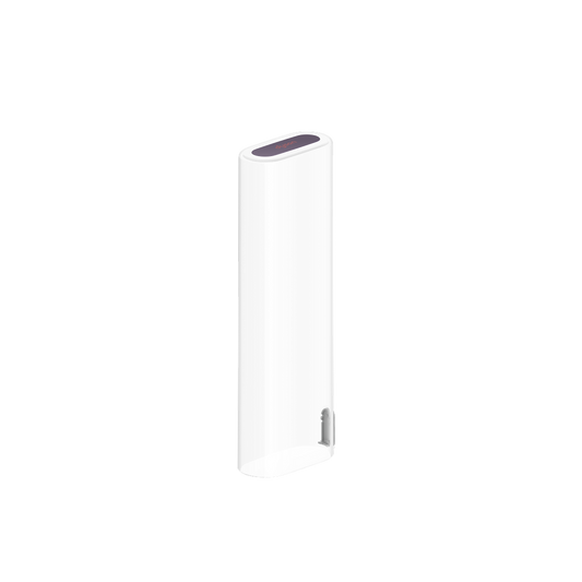 Dyson CameraJet transparent travel case