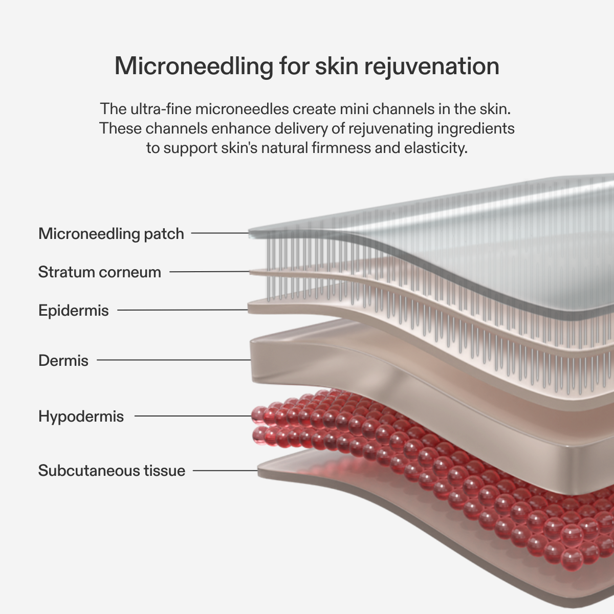 CurrentBody Skin Forehead Microneedling Patch – image 4